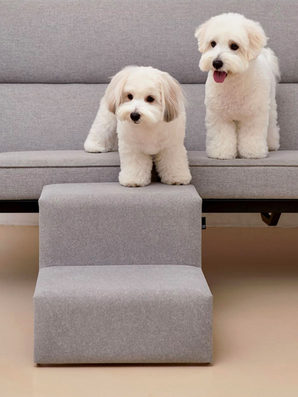 A small dog resting on the steps of the Dig Step, showcasing its comfort and pet-friendly design.