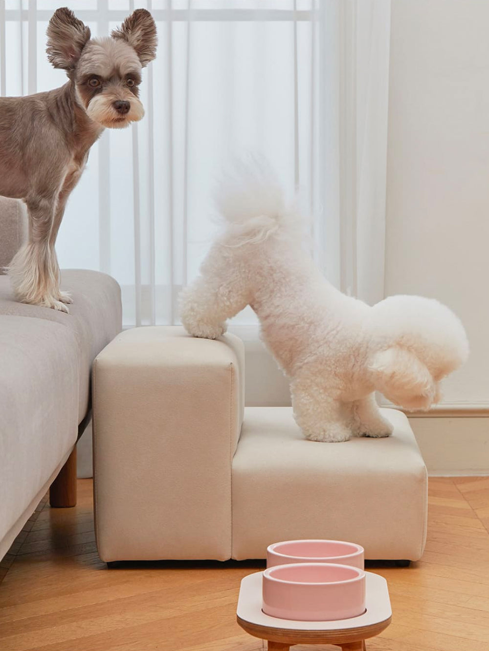 A medium-sized dog descending the Extended Step, demonstrating its joint-friendly and secure steps.