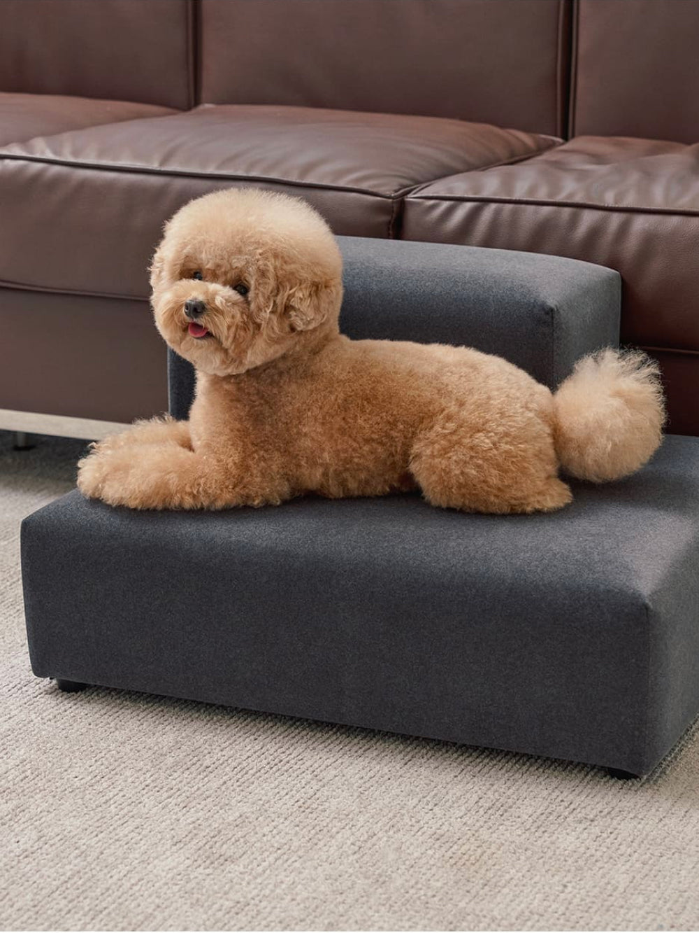 A small dog sitting on the Extended Step, highlighting the cushioned comfort and spacious surface.