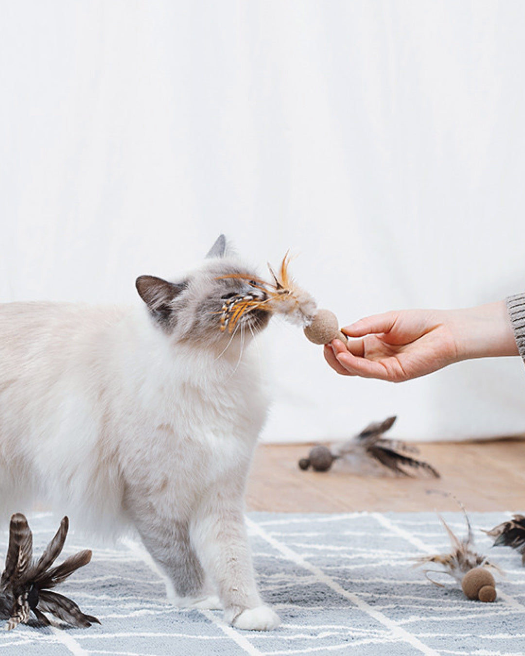 Feather Miniball Cat Toy with Matatabi