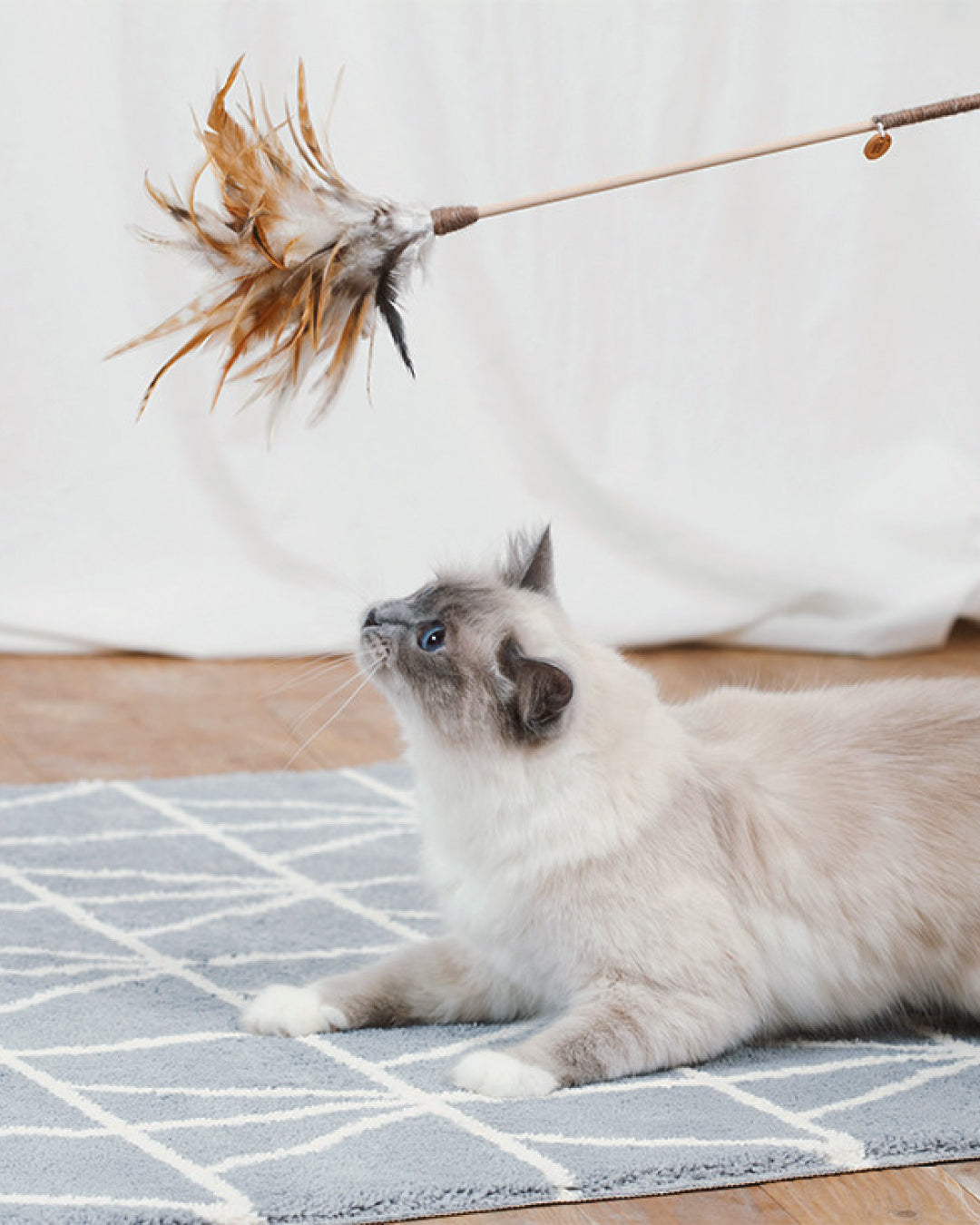 Feather Cat Wand