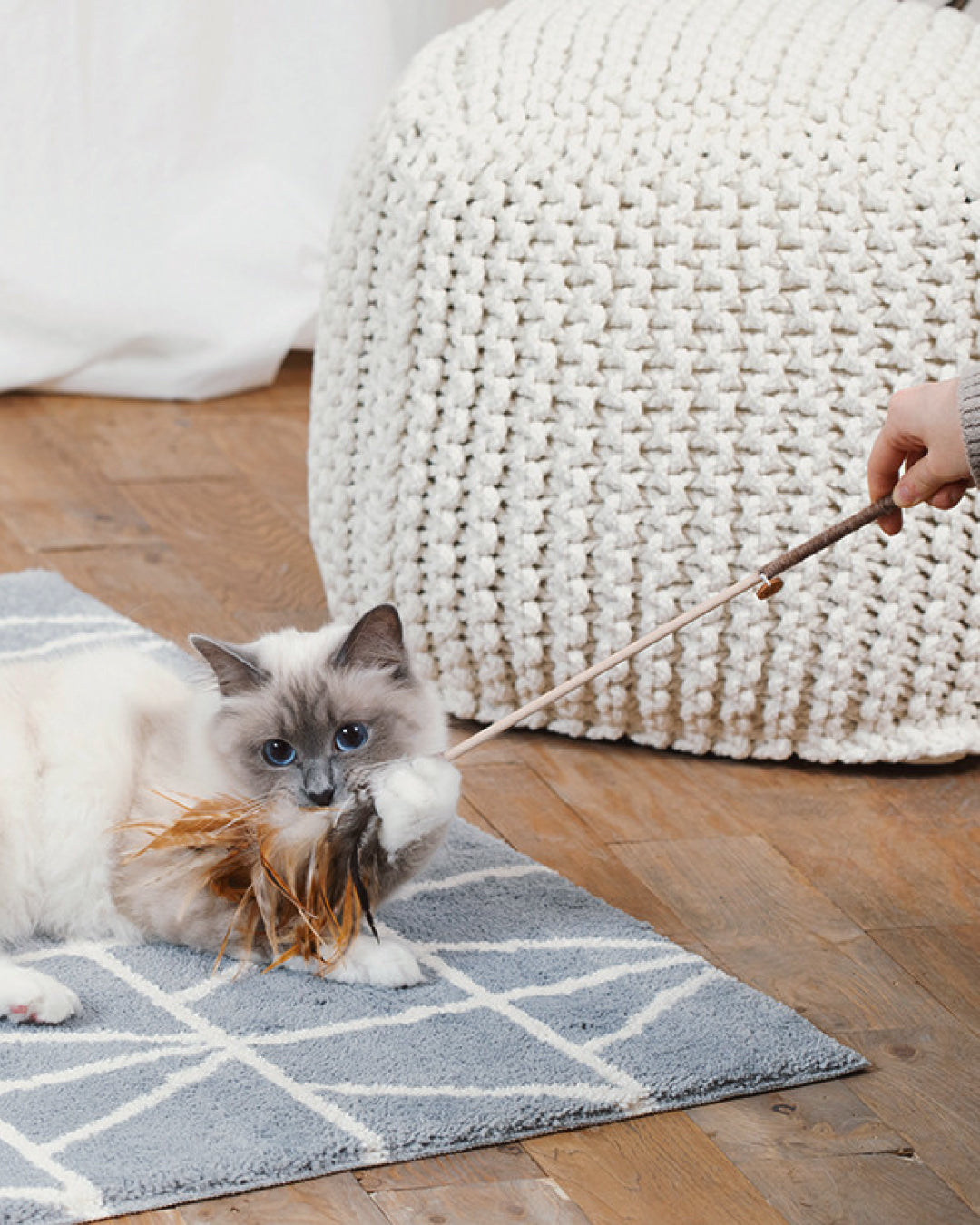 Feather Cat Wand