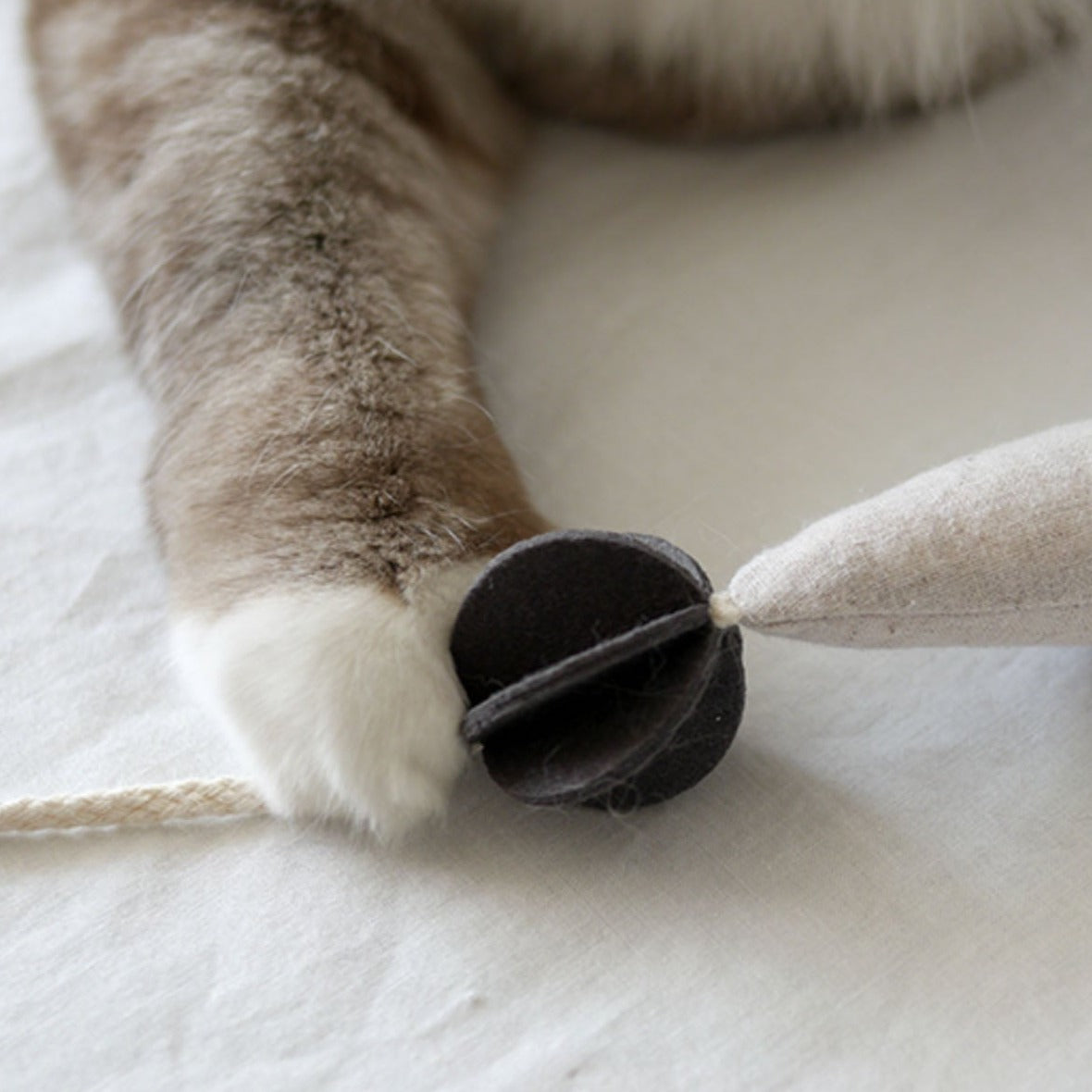 A cat batting the Fish and Chews toy back and forth, enjoying its lightweight and engaging design.