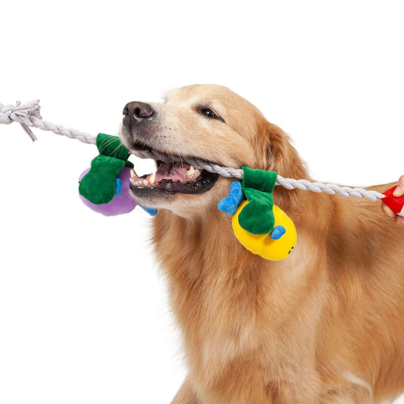 A dog playfully tugging on the Fishing Tug Toy, demonstrating its elasticity and interactive appeal.