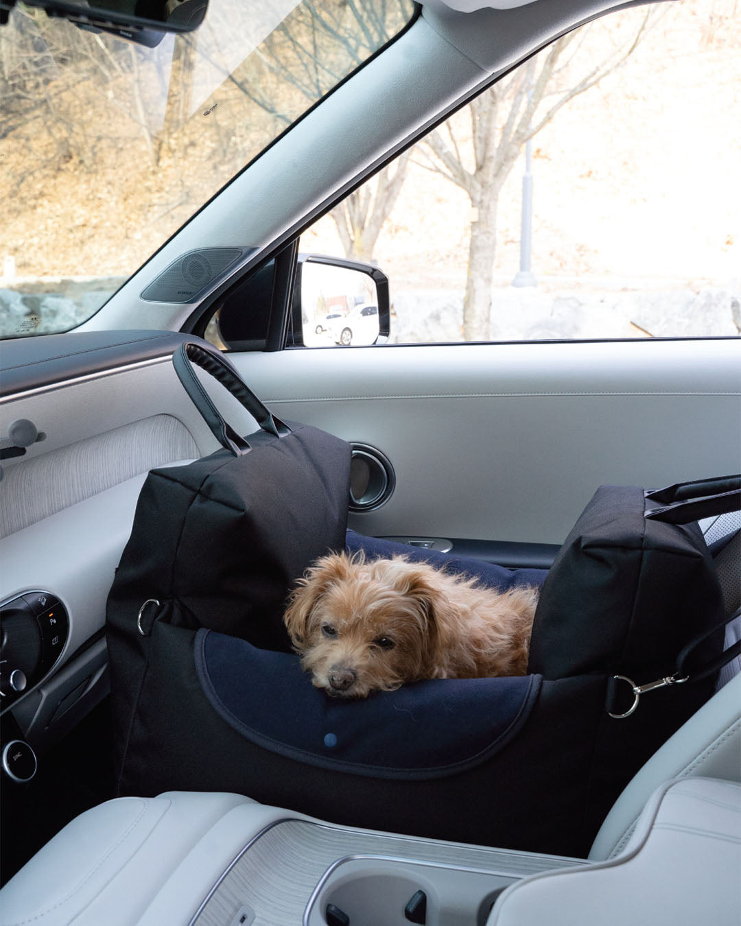Garden Car Seat Black | Preorder