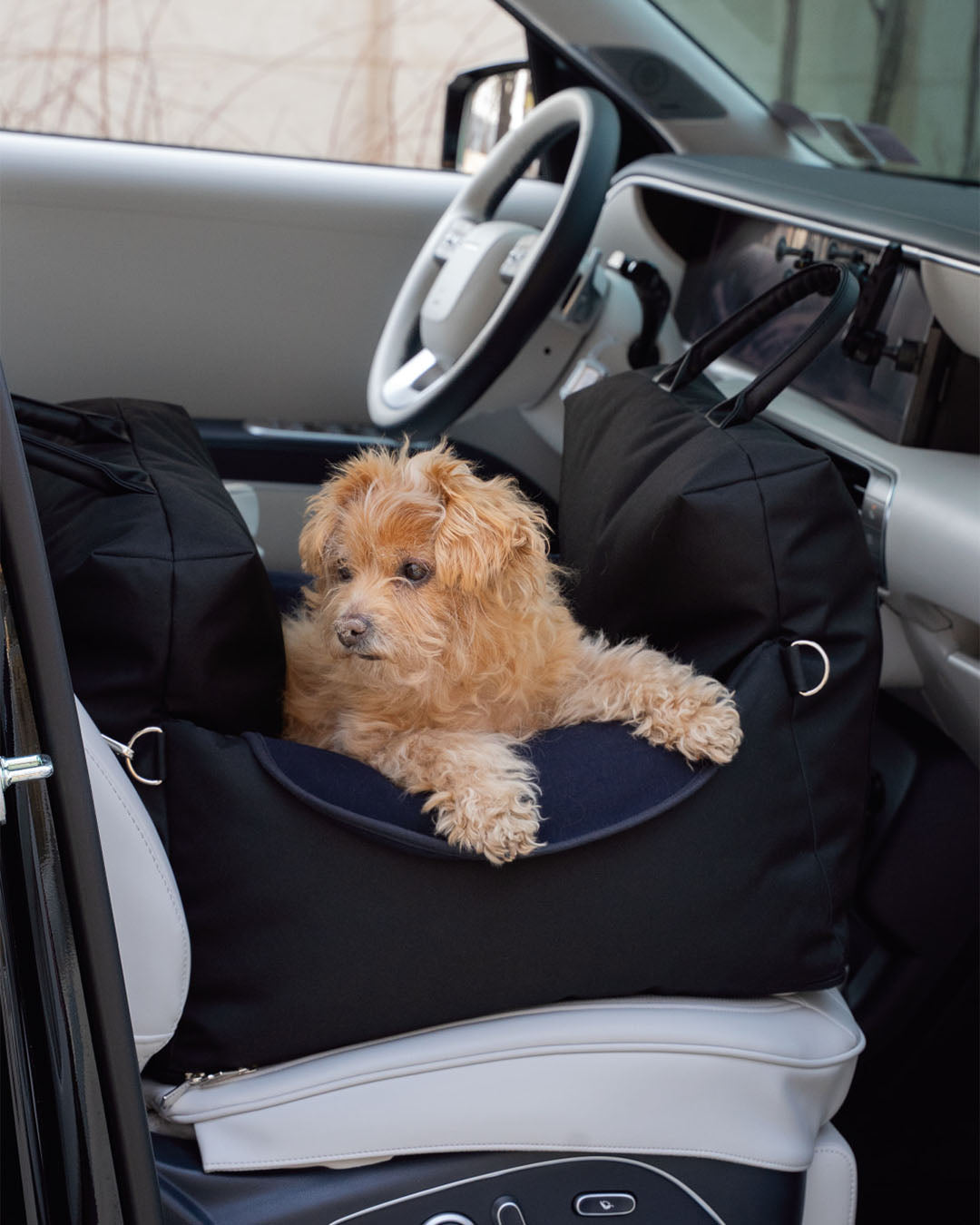 Garden Car Seat Black | Preorder