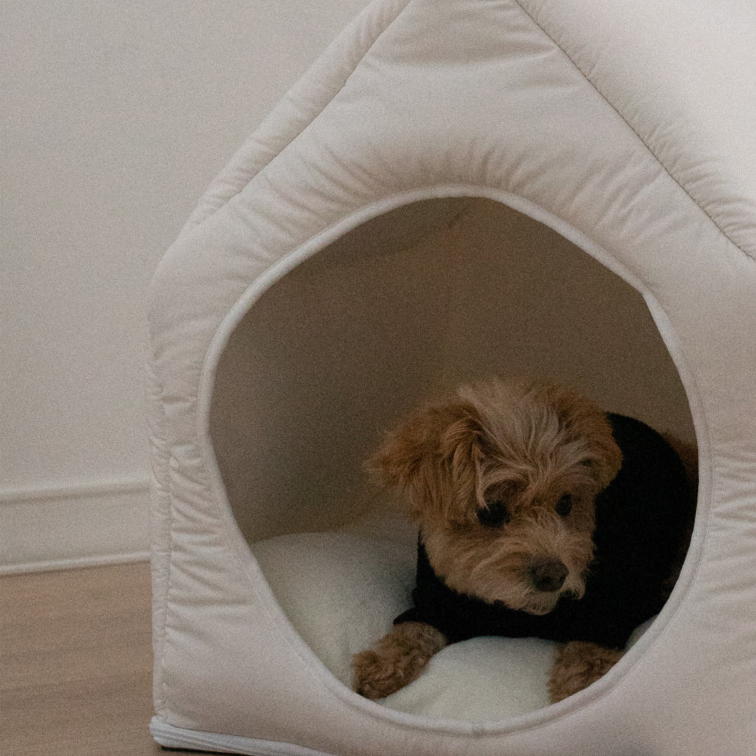 Informal House pet bed with a cozy, house-shaped design, featuring a soft, cushioned interior for pets.