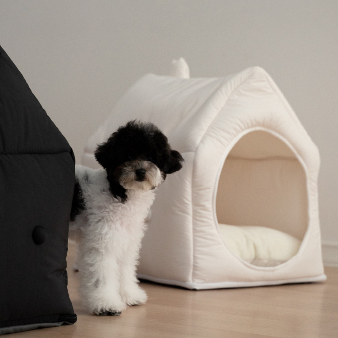 Informal House pet bed in a modern living room, blending seamlessly with contemporary decor.