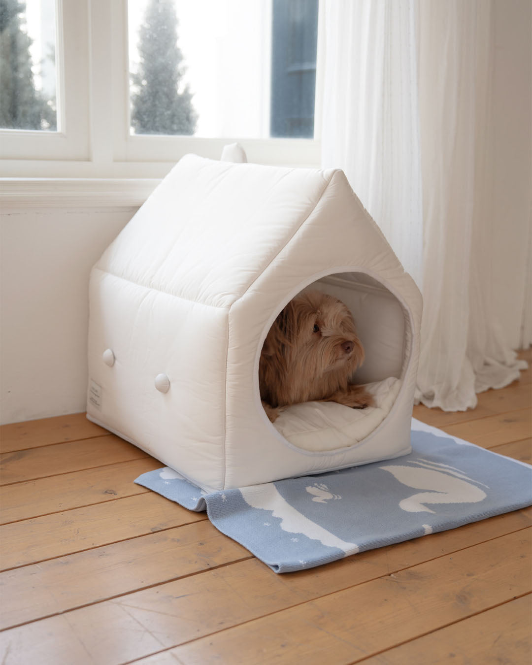 Informal House White