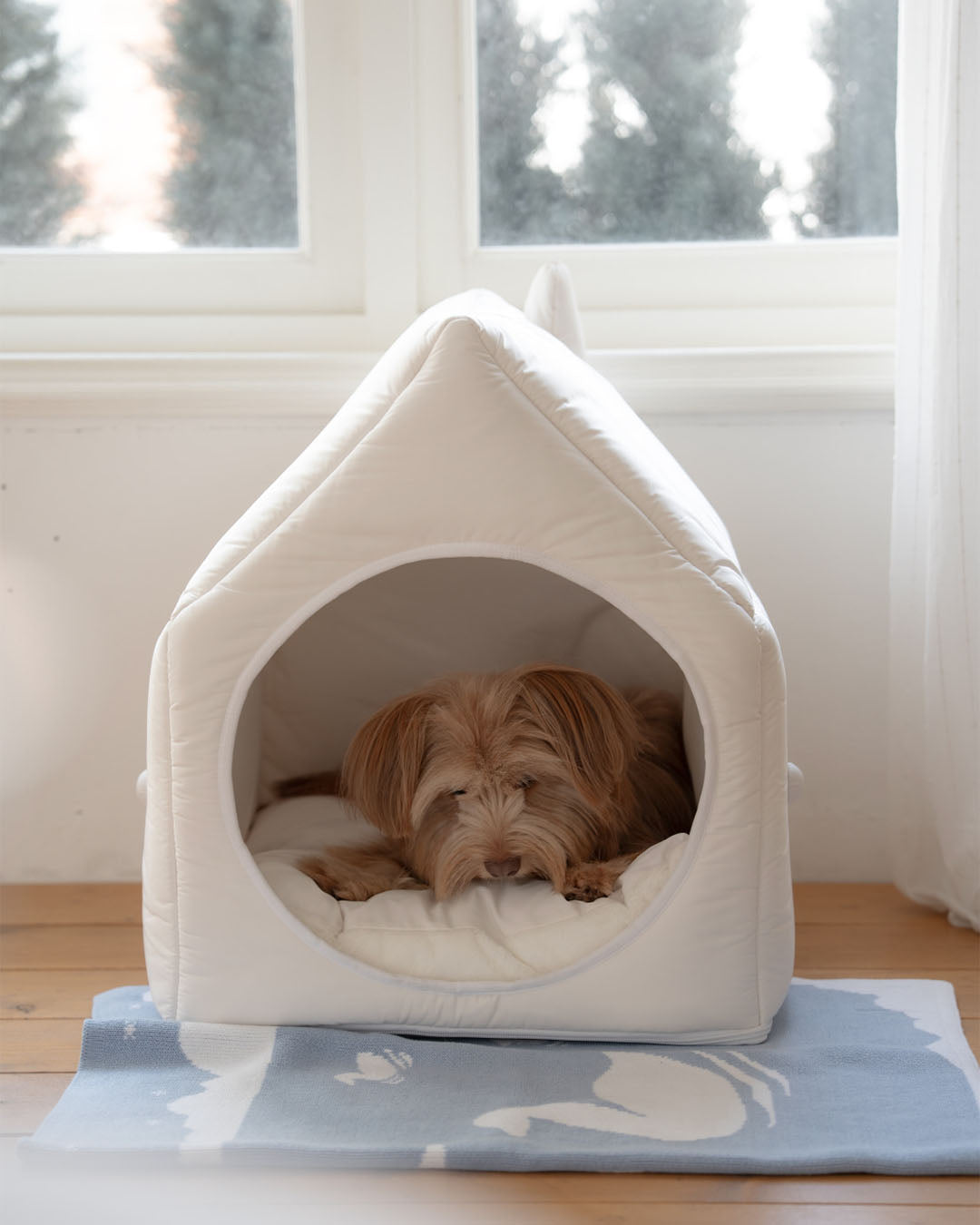 Ours Lippu Pet Collection | Design for Pets