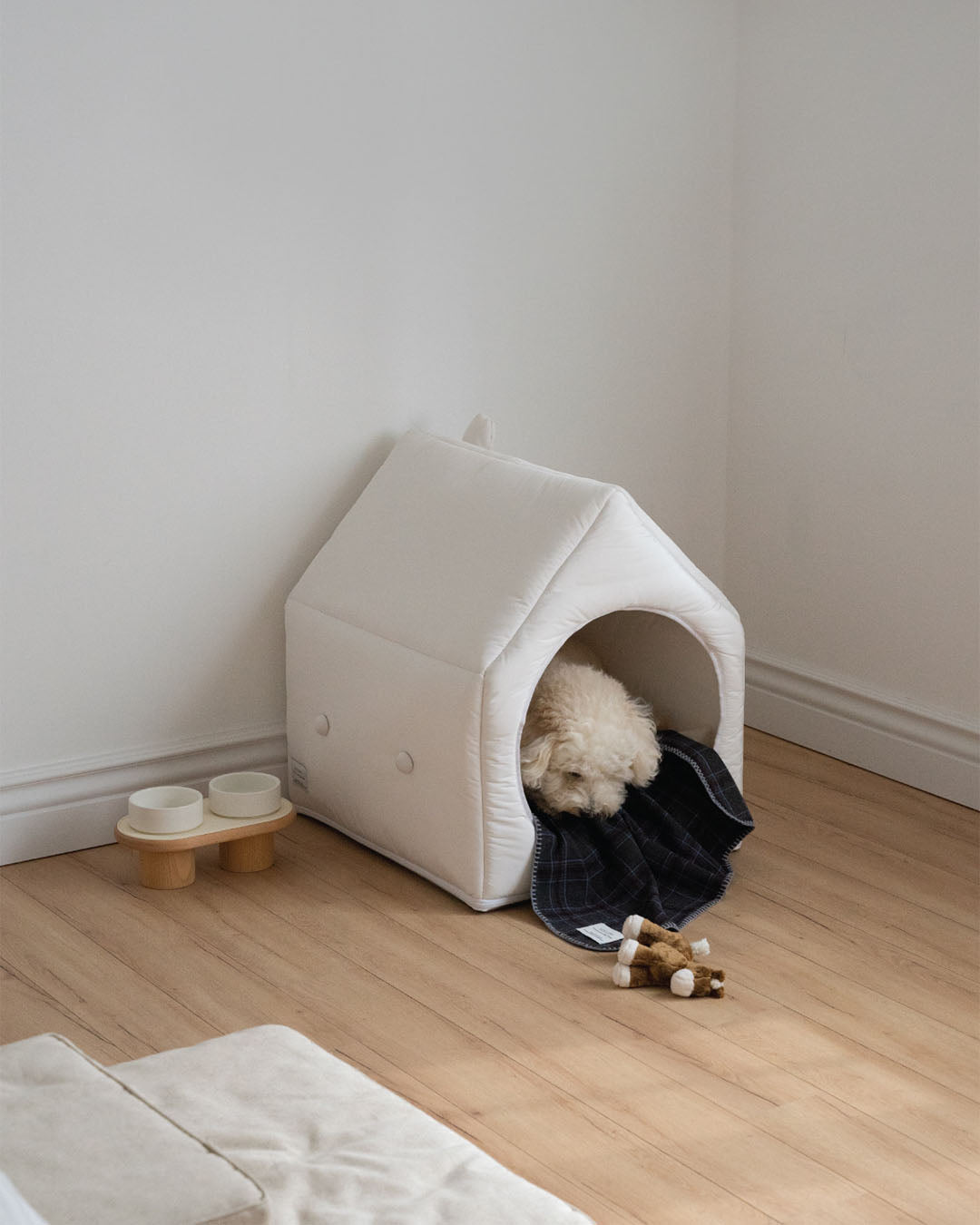 Informal House White Family