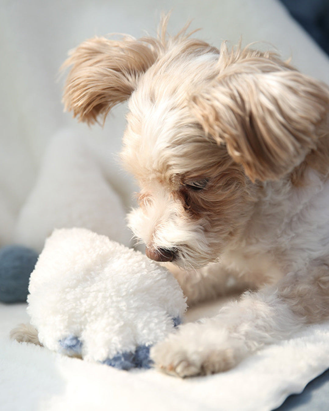 Yeti Squeaky Dog Toy