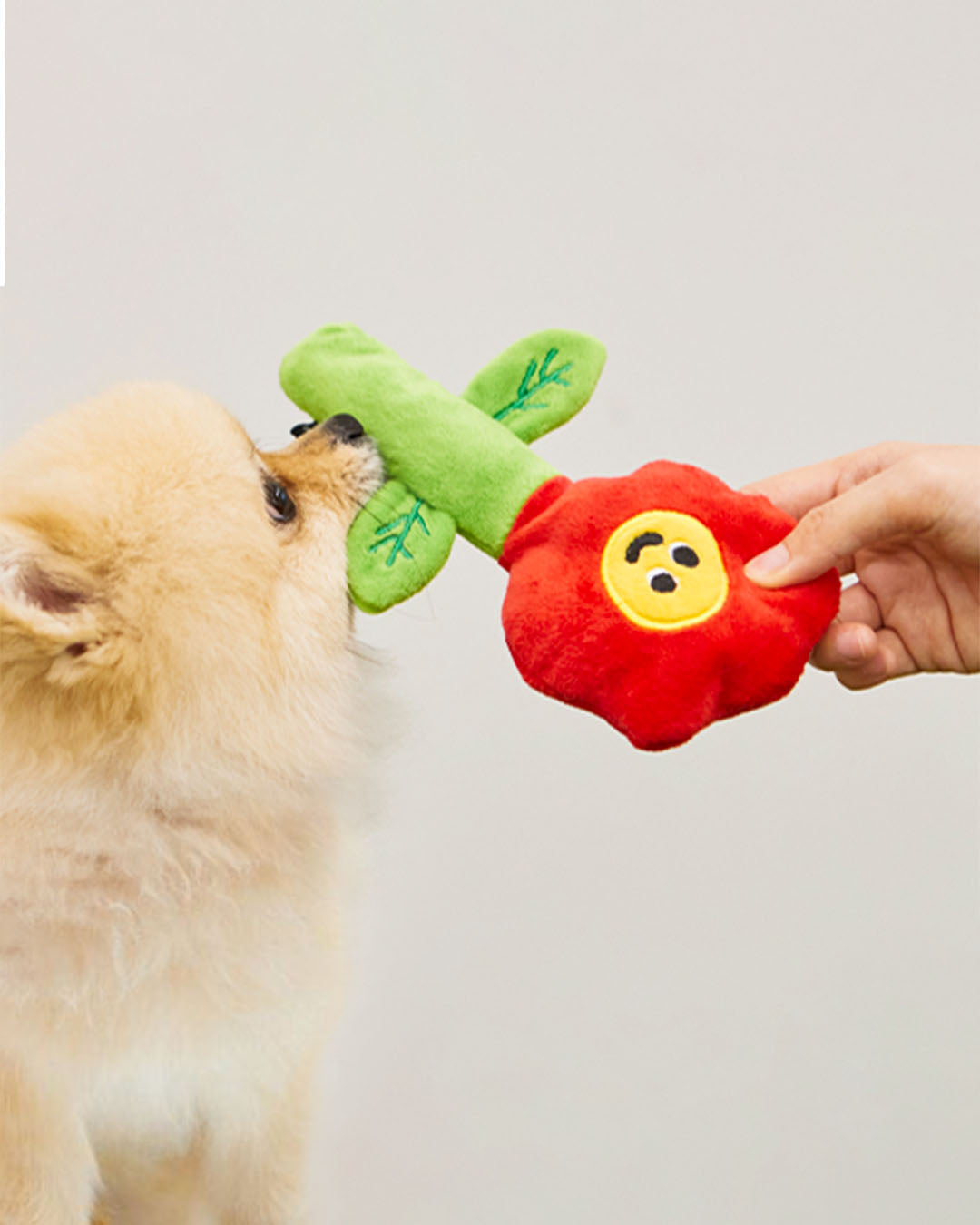 Crinkle Squeaker Toy - Poppy