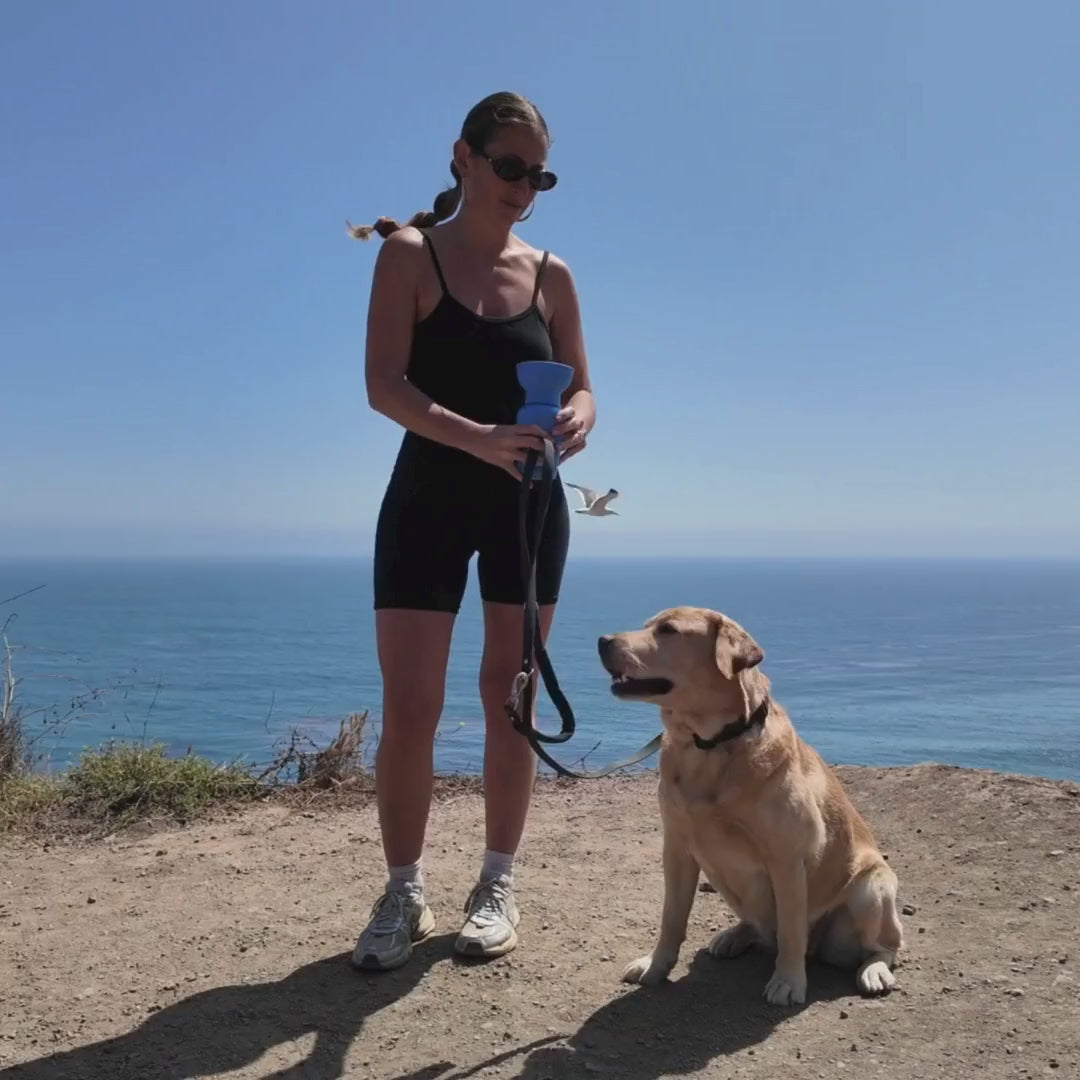 Person hiking with a dog carrying a blue travel dog water bottle, convenient hydration for outdoor walks and adventures.