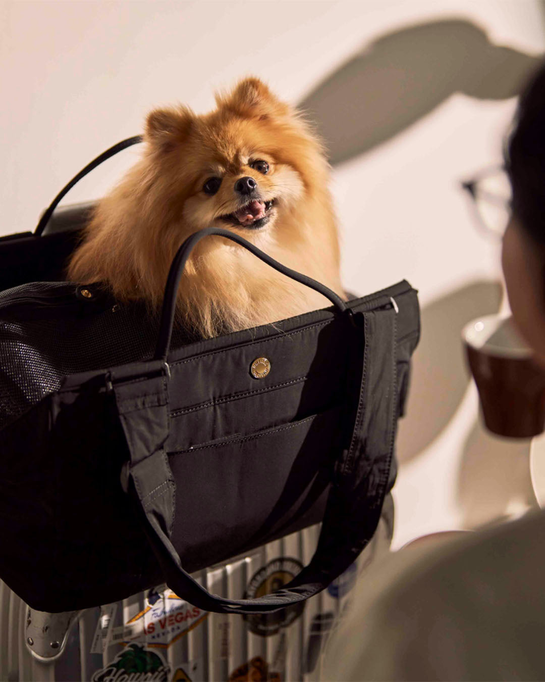 Soft Bagel Bag Black