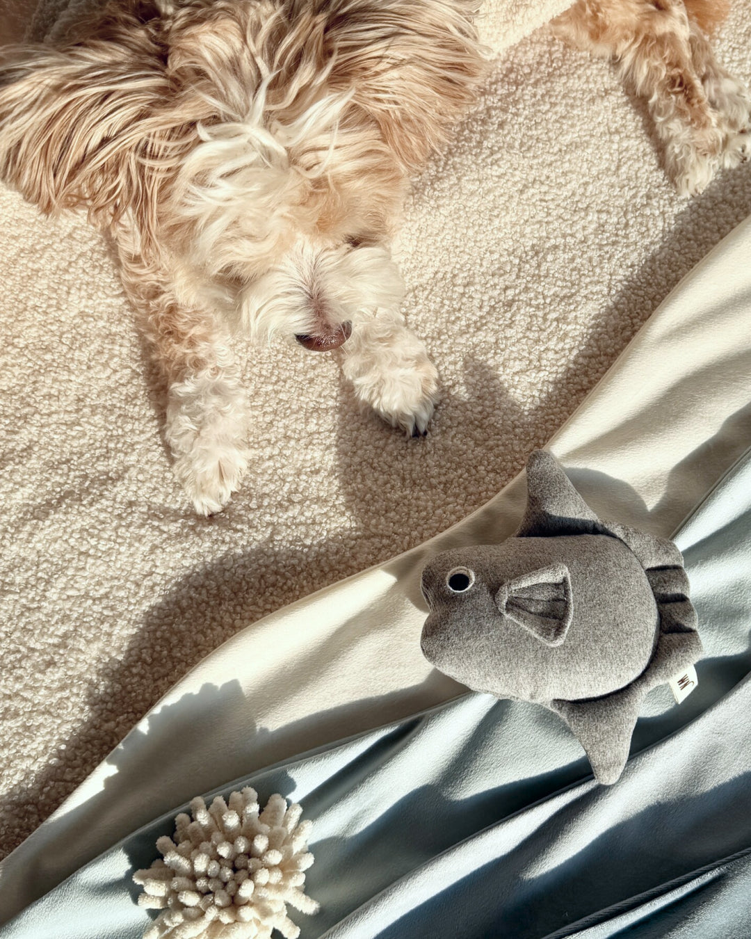 Sunfish Squeaky Dog Toy